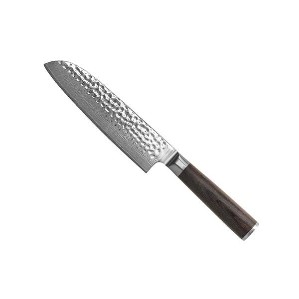 Hammered Damascus BR-Series - Santoku Knife