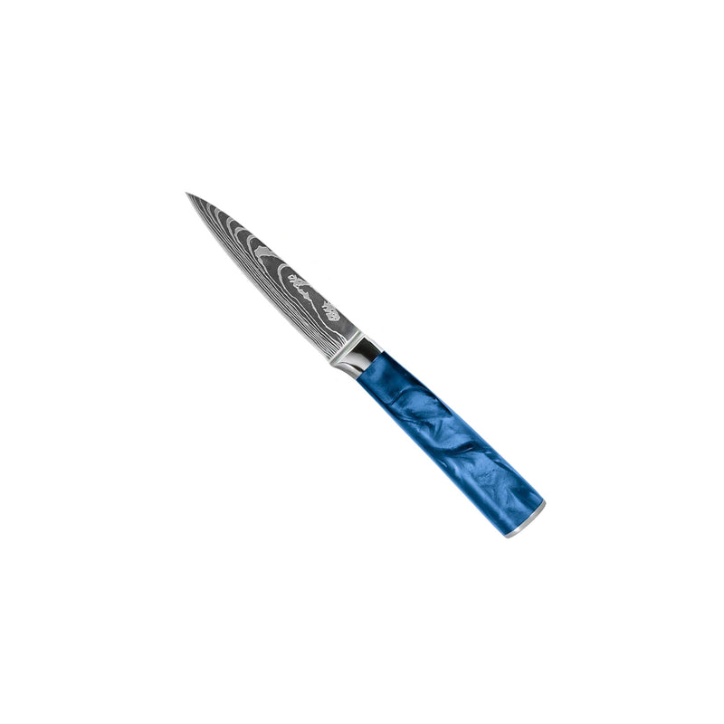 EPOXY SAPPHIRE 6-PIECE DAMASCUS PRINT KNIFE SET + ACACIA HOLDER
