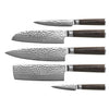 Hammered Damascus BR-Series - 5 Piece Set