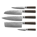 Hammered Damascus BR-Series 5-Piece knife Set