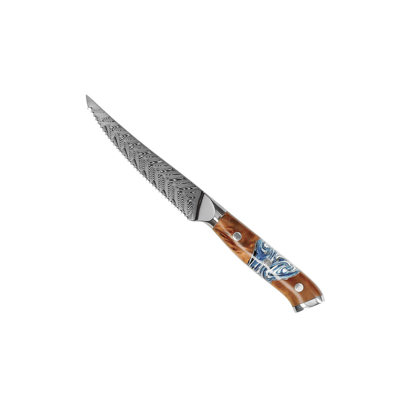 Eclipse Series 6-Piece Damascus Knife Set