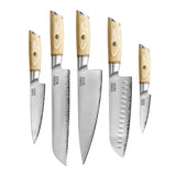 Shinrai Knives - Hikari Damascus 5-piece knife set + Knife block Double-sided black