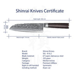 Hammered Damascus BR-Series - Santoku Knife