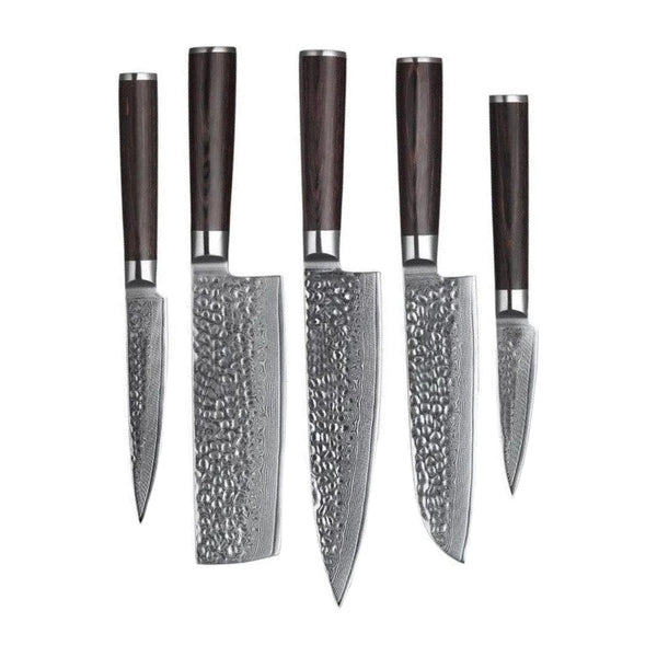 Best Damascus Steel Kitchen Knives 5 Pieces Set, Kitchen Knives-Cutlery